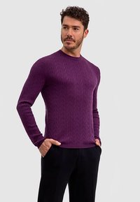 Maglione viola a trecce con scollo tondo, maniche lunghe e orlo a coste. Tessuto morbido e design aderente, adatto per essere indossato a strati.