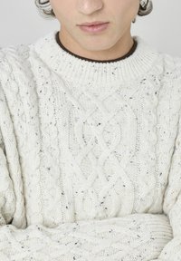 Un pull crème en maille torsadée avec un col rond, présentant des motifs texturés et une finition douce. Accentué de éclats de couleurs plus sombres.