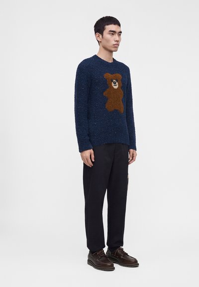 Un jeune homme se tient debout, portant un pull bleu marine avec un grand motif d'ours brun, un pantalon noir et des chaussures marron foncé sur un fond uni.