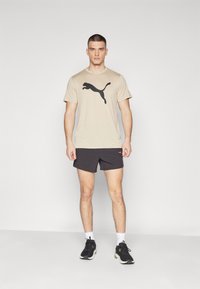 Puma TRAIN CAT TEE - Spordi T-särk - putty heather