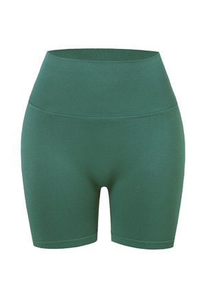 Carlheim, CARLHEIM SCULPT SEAMLESS SHORTS TRAINING SHORTS - Shortsit - teal green