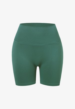 Carlheim, CARLHEIM SCULPT SEAMLESS SHORTS TRAINING SHORTS - Shortsit - teal green