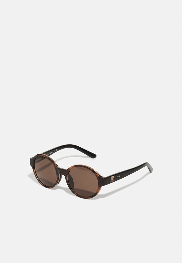SUNGLASSES UNISEX - Sonnenbrille - shiny dark havana