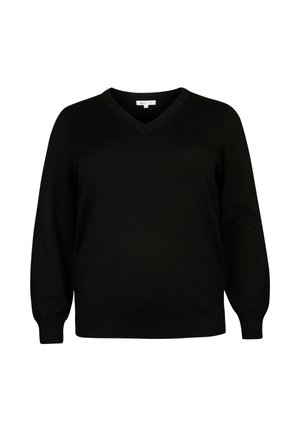 Zwarte v-hals trui met lange mouwen, gebreide textuur en een ontspannen pasvorm. Beschikt over geribbelde details bij de halslijn en manchetten.