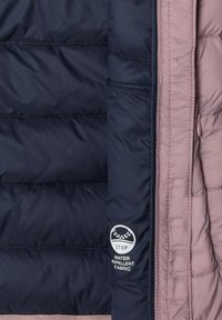 Pepe Jeans DAHLIA  - Žieminė striukė - light orchid purple