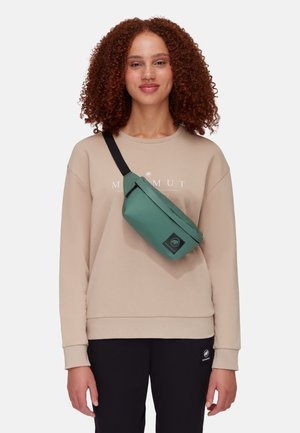 Mammut XERON CLASSIC WAISTPACK - Riñonera - dark jade