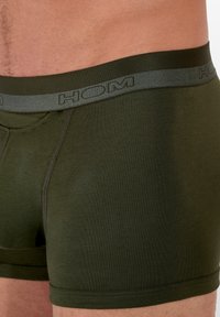 Zelené boxerky z měkké tkaniny s šedým logem na pasu a kontrastním šitím. Detail na pás a boční detaily.