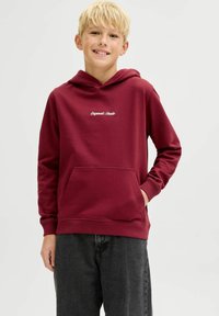 Sudadera color marrón con un bolsillo tipo canguro, puños acanalados y un logo bordado blanco en el pecho. Tela suave con un corte clásico.