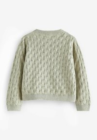 Next POINTELLE  REGULAR FIT - Kardigán - mint green