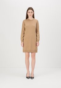Vestito in maglia a maniche lunghe di colore marrone chiaro; design semplice con scollo rotondo e polsini e orlo a costine. Indossato con scarpe nere con tacco.