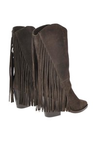 Stivali alla caviglia in suede marrone con dettagli di frange lunghe, punta affusolata e tacco a piazza, caratterizzati da una texture liscia e un design con un gambo alto.