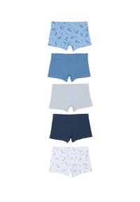 Cinque paia di boxer: il primo è azzurro chiaro con motivo di pesci, seguito da colori solidi in tonalità più scure: blu medio, grigio, blu navy e bianco con un motivo.