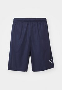 INDIVIDUALLIGA TRAINING SHORTS OPEN POCKETS  - Sports shorts - navy/white/zen blue