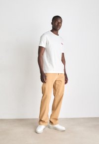 GANT WASHED GRAPHIC - Camiseta estampada - eggshell