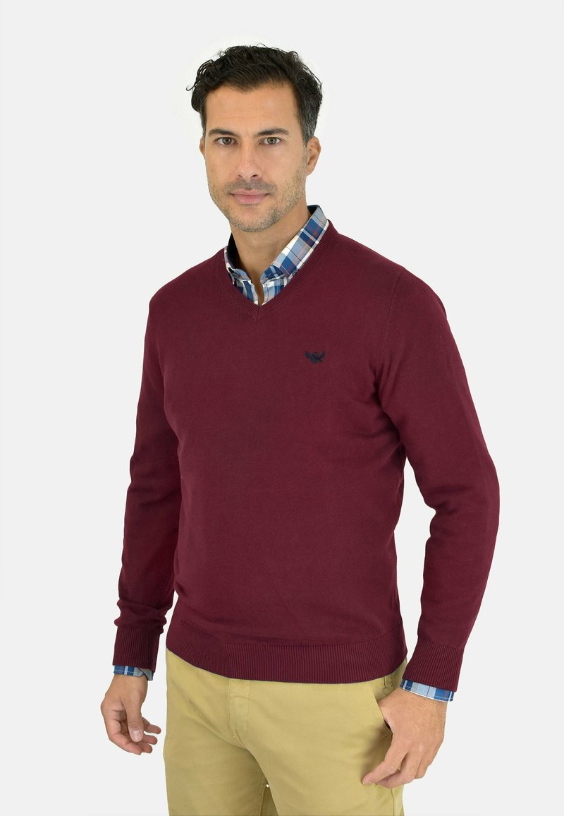 EMBLEMS PICO - Jersey de punto - granate