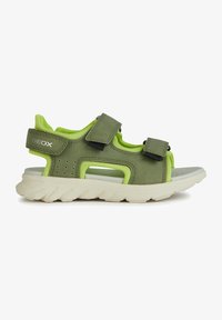 No seleccionado, military lime