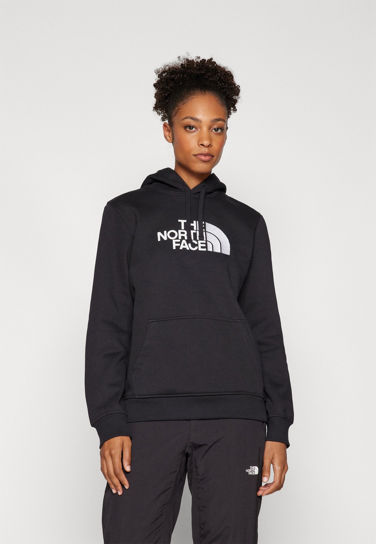 The North Face DREW PEAK REGULAR HOODIE - Hoodie - black
