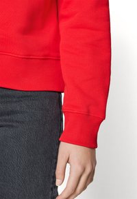 Tommy Jeans BADGE CREW EXT - Mikina - deep crimson