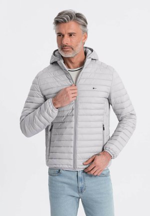 QUILTED - Winter jacket - light grey