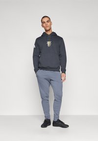adidas Performance JB HOODIE - Jersey con capucha - dark grey