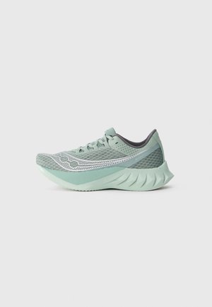 ENDORPHIN PRO 4 - Road running shoes - iceberg/carbon