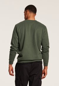 Felpa verde a girocollo realizzata in tessuto morbido, con maniche lunghe, polsi a costine e un design semplice, mostrata da dietro.
