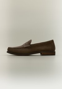 Неизбран, dark brown