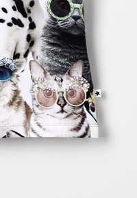 Gráfico que presenta a un gato y un perro usando gafas, sobre un fondo de tela clara. El gato lleva gafas redondas con tintes adornadas con joyas.