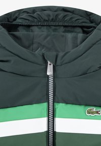 Lacoste CHEST STRIPE PUFFE - Zimska jakna - sinople