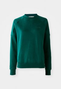 Sudadera verde de cuello redondo con mangas raglán, fabricada con tejido suave. Presenta un cuello y puños acanalados, y sutilmente marca en el pecho.