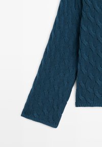 Manche et partie du corps d'un pull bleu tricoté avec un motif torsadé texturé sur fond blanc.