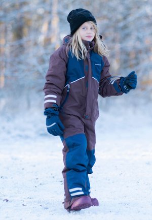 Braun- und blaues Winteroverall mit weißen Akzenten, Kapuze und reflektierenden Streifen; kombiniert mit einer schwarzen Mütze und blauen Handschuhen; schneebedeckter Hintergrund.