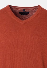 Maglione a V in arancione ruggine, realizzato in cotone pima. Presenta una maglia testurizzata con un motivo sottile e un piccolo logo sul petto.