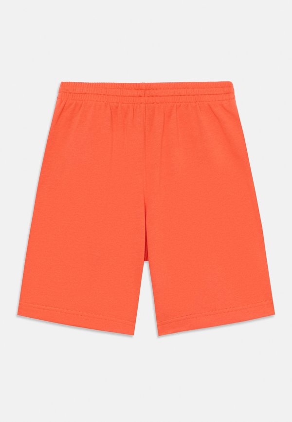 TRAIL MIX SHORT - Shorts2