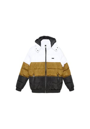 INSIDE Chaqueta de invierno - black