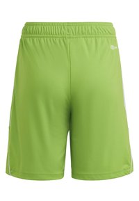 Grüne Sportshorts mit glatter Textur, elastischem Bund und weißen Seitenelementen. Das Design ist einfach und funktional.