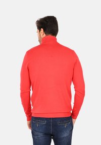 Maglione a collo alto rosso realizzato in morbido tessuto a maglia fine, con maniche lunghe e polsini e orlo ribattuti. La vista posteriore mostra una superficie liscia.
