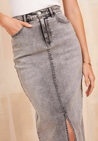 Friends Like These SPLIT REGULAR FIT - Krilo iz džinsa - grey