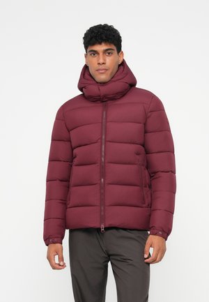 BORIS - Giacca invernale - wine red
