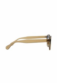 Occhiali da sole in acetato trasparente marrone con lenti rotonde, aste sottili e curve delicate. Nessuna hardware o motivo visibile.