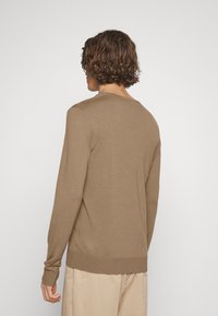 Brauner gestrickter Pullover mit langen Ärmeln, rundem Halsausschnitt und gerippten Bündchen. Glatte Textur und subtile Nähdetails.