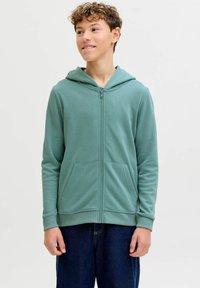 Groene hoodie met een ritssluiting aan de voorkant, twee voorkantzakken en geribbelde manchetten. Glad stoftextuur, met een eenvoudig ontwerp en een ontspannen pasvorm.