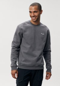 Gray cotton sweatshirt with a crew neckline and long sleeves. Features a small logo on the left chest area. Worn with dark pants.