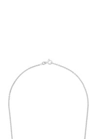 Collar de cadena de plata con un diseño delicado y retorcido. Presenta un cierre de resorte y eslabones finos y uniformes, creando una apariencia ligera.