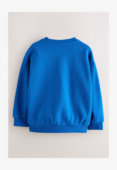 Bright blue crewneck sweatshirt with long sleeves and ribbed cuffs, hem, and collar shown from the back on a neutral background.