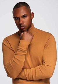 Rollkragenpullover in einem warmen Tan-Farbton, mit einem hohen Kragen und schmalen Ärmeln. Glatte Textur, minimalistisches Design und ohne sichtbare Muster.