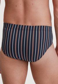 Schwimmslips aus dehnbarem Stoff mit vertikalen dunkelblauen und weißen Streifen sowie braunen Akzenten und einem bequemen elastischen Bund.