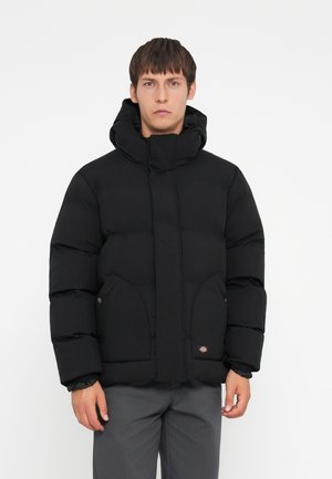 Black puffer jacket with a high collar and hood. Features side pockets and elastic cuffs. Smooth texture with a quilted design.