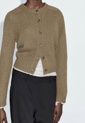 Personne portant un cardigan en tricot marron boutonné par-dessus un haut blanc avec un pantalon noir, sur un fond clair uni.
