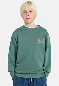 Sudadera verde hecha de material suave, con cuello redondo y puños acanalados. Gráfico decorativo en tonos pastel en el pecho.